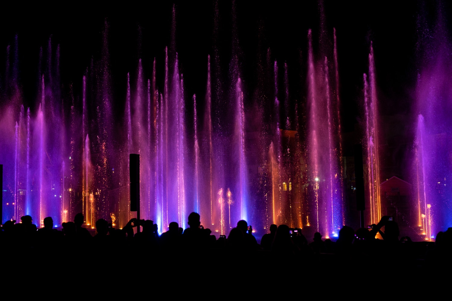 Cinematic Celebration 17